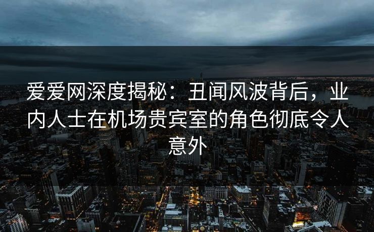 爱爱网深度揭秘：丑闻风波背后，业内人士在机场贵宾室的角色彻底令人意外