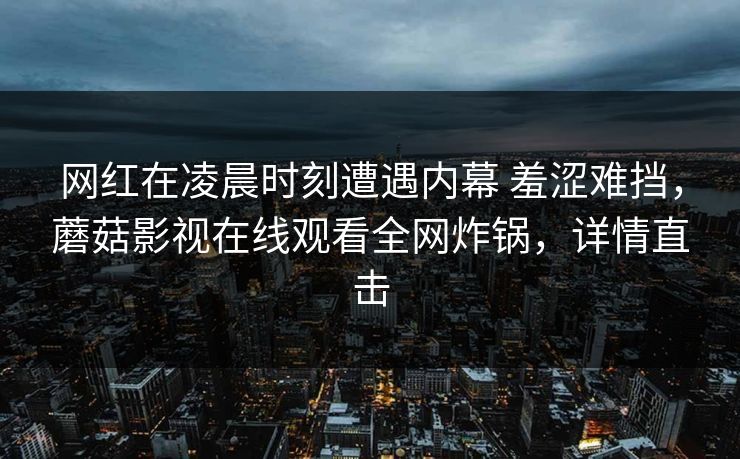 网红在凌晨时刻遭遇内幕 羞涩难挡，蘑菇影视在线观看全网炸锅，详情直击