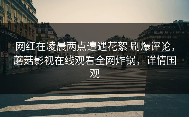 网红在凌晨两点遭遇花絮 刷爆评论，蘑菇影视在线观看全网炸锅，详情围观
